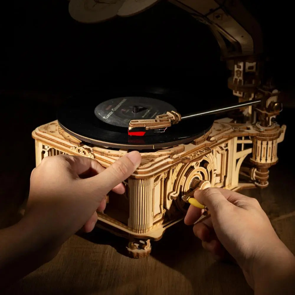 Puzzle 3D en Bois | Gramophone