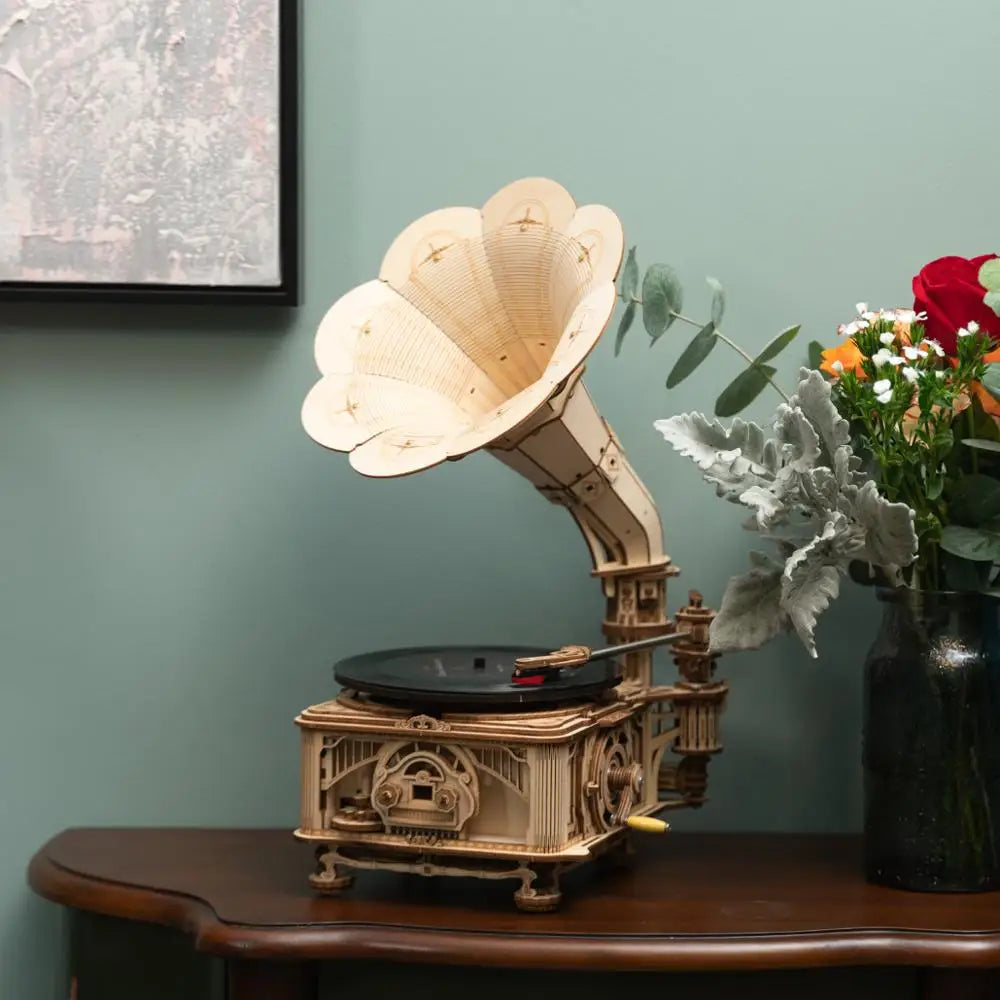 Puzzle 3D en Bois | Gramophone