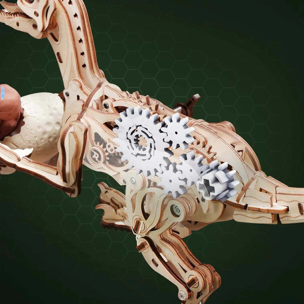 Puzzle 3D en Bois | Velociraptor