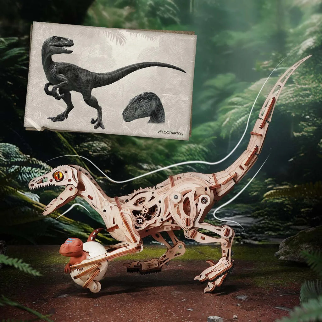 Puzzle 3D en Bois | Velociraptor